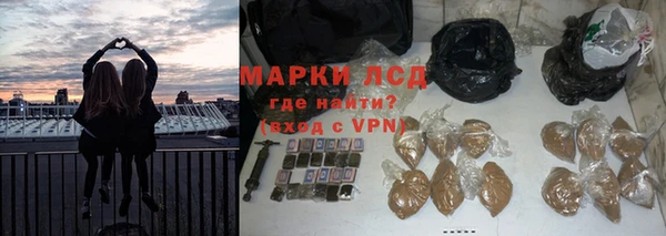 крисы Алзамай