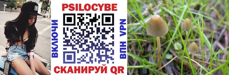 Галлюциногенные грибы Psilocybe  купить наркотик  Арамиль 